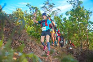 BIB: 2095
                            <button type="button" onclick="openModal(21835850)" class="btn btn-primary btn-sm float-right btn-popup" data-toggle="modal" data-target=".modal-high-quality">
                        <i class="fas fa-shopping-cart"></i> Add to Cart
                    </button>
                                            <button type="button" onclick="isThisMe(21835850, true)" class="btn btn-success btn-sm float-right btn-popup btn-isme hidden" data-toggle="tooltip" data-placement="bottom" title="นี่คือรูปของคุณใช่ไหม คลิกที่นี่เพื่อเอาเข้าอัลบั้ม">
                        <i class="fas fa-plus"></i> Add to album
                    </button>
                    <button type="button" onclick="isThisMe(21835850, false)" class="btn btn-warning btn-sm float-right btn-popup btn-isnotme hidden">
                        <i class="fas fa-ban"></i> Remove from album
                    </button>